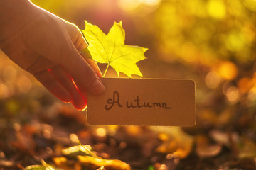 Autumn text on a card.  Girl holding card in autumn park.