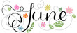 Hello June. JUNE month vector with flowers and leaves. Decoration floral. Illustration month June	
