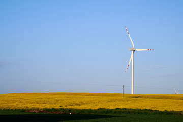 wind turbine in the field