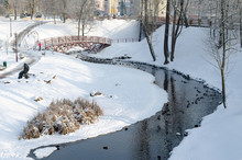 Beautiful Winter Landscape. The Town Has A Park And A Winding Frozen River. Many Hungry Ducks On The Water. Feed The Animals In Winter. Bridge Over River. Fluffy Snow On The Shoreline.