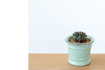 Wall Mural - Beautiful cactus in pot put on wood table with Stay home.