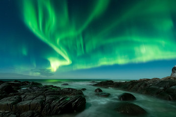 northern lights in norway at the lofoten island's