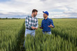 © Zoran Zeremski - Two farmers standing in green wheat field examining crop during the day.