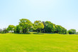 © ABCDstock - Green grass and tree under blue sky.