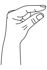 Wall Mural - hand showing size between fingers. gesture showing measuring in sign language. vector illustration i