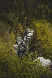 Fototapeta Paryż - Bischofstein rocks and forest, Broumovsko, Czech republic