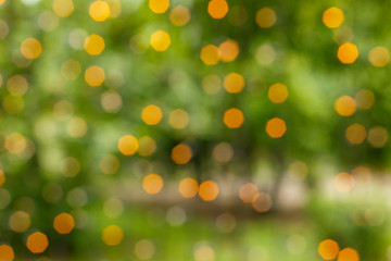 Green holiday background with lights. Blurred focus.