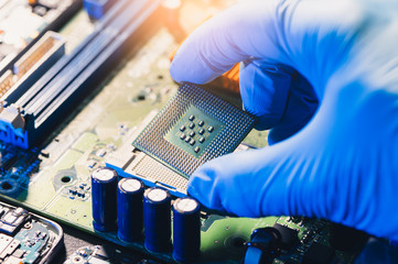 Wall Mural - The technician is laying a CPU on the socket of the computer motherboard. the concept of computer, service, electronics, hardware, repairing, upgrade and technology.