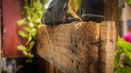 Close up of shoe on a wood plank