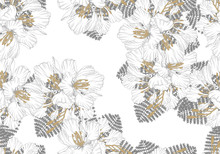 Seamless Pattern Of Royal Poinciana Flowers With Hand Drawn And Line Art On White Background