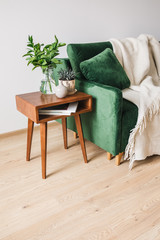 Canvas Print - green sofa with pillow and blanket near wooden coffee table with plants