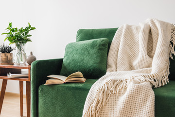 Canvas Print - green sofa with pillow, book and blanket near wooden coffee table with plants