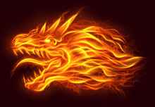 Fire Head Of Dragon