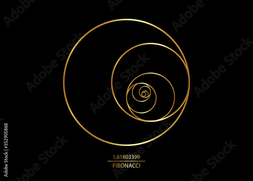 Dekoracja na wymiar  kolo-sekwencji-fibonacciego-zloty-podzial-spirala-geometrycznych-ksztaltow-kola-w-zlotych-proporcjach