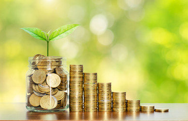 money for business investment finance and banking concept. green plant leaves growth up on row of saving coin stack on wood table with green blur nature background.