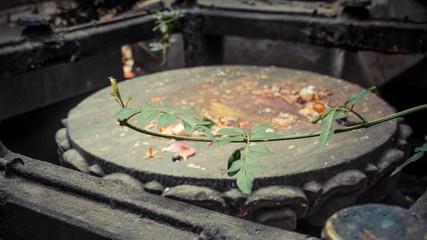 Wall Mural - A messy table inside a box monument