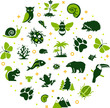 wildlife / biodiversity vector illustration. Concept with icons related to wildlife, animal protection, endangered species, zoology, fauna or ecology.