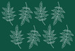 seamless repeating nature pattern of an ash tree branch