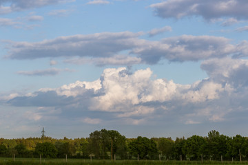 Cumulonimbus Clouds in the sky above trees