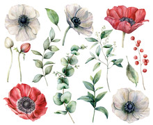Watercolor Floral Set With Red And White Anemones. Hand Painted Flowers, Buds, Berries And Eucalyptus Leaves Isolated On White Background. Spring Illustration For Design, Print, Fabric Or Background.