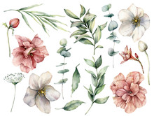 Watercolor Floral Set With White And Pink Flowers And Eucalyptus Leaves. Hand Painted Roses, Buds, Berries Isolated On White Background. Botanical Illustration For Design, Print, Fabric, Background.