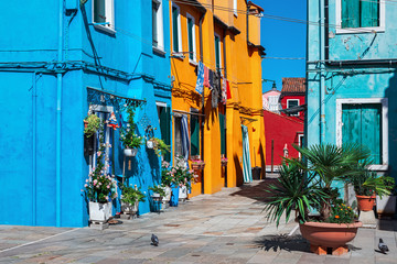 Wall Mural - Multicolored houses of Burano, Italy.