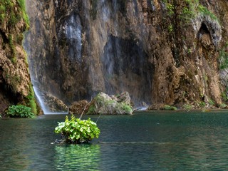 Poster - lake national park waterfall 