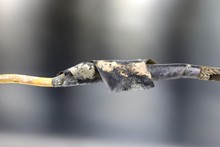 Close-up Of Old Damaged Wire With Insulation 
