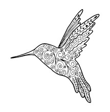 Hand Drawing Outline Birds For Logo Design. Zentangle Style Hummingbird Vector Illustration Isolated On White Background.
