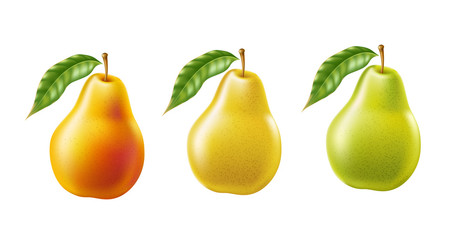 Wall Mural - Vector realistic yellow ripe pear healthy food set