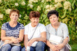 © lialia699 - Mature Female Friends Socializing In Backyard Together.