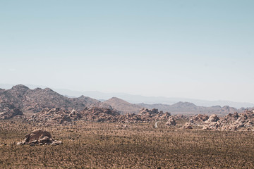 Joshua Tree National Park Reopens