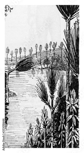 Photographie Coal flora landscape restore from the coal era after M