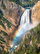 The Lower Falls of the Yellowstone River, a tall and powerful waterfall in Yellowstone National Park, Wyoming, plunges into the beautiful deep