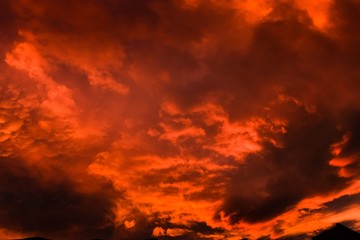 Wall Mural - low angle shot of the breathtaking orange clouds over the sky captured at sunset