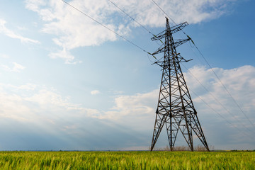 High-voltage power lines passing through a green field of wheat, on the background of a cloudy sky