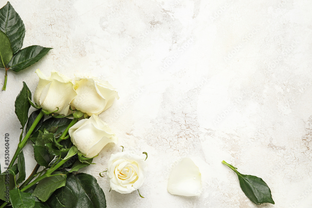 Beautiful white roses on light background