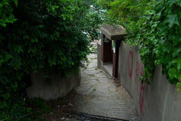 Wall Mural - Seoul's last shanty town. Known as Village 104 it is only half filled with residents who live among empty neighbors waiting for demolition. 