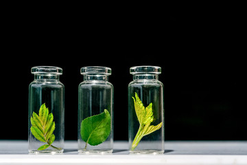 Glass bottles, test tubes with plant sprouts on black background. Natural skin care, organic cosmetics and food. Concept of alternative medicine