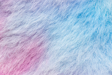 abstract macro soft pastel carpet
