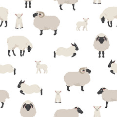 Wall Mural - Sheep poses seamless pattern. Farm animals set. Flat design