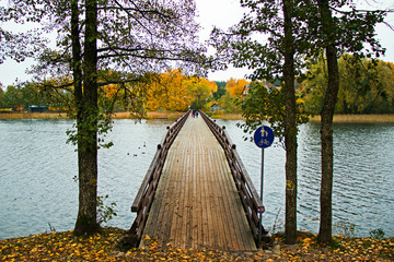 Bridge in the park