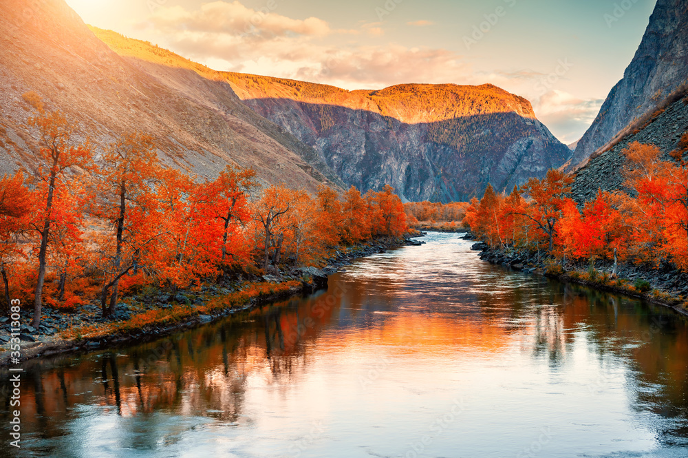 Autumn landscape of Chulyshman river gorge in Altai mountains, Siberia, Russia. Red autumn trees and their reflections in the water at sunset - obrazy, fototapety, plakaty 