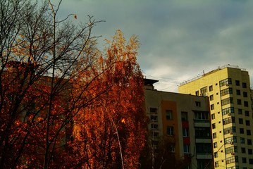 Golden autumn on the outskirts of the city, Moscow