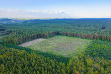 A Huge Area Of Continuous Deforestation Of Green Coniferous Forests. Human Impact On The Environment. Aerial Shot.