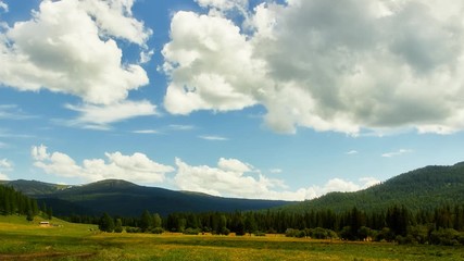 Wall Mural - Timelapse. Summer landscape of Altai mountains with a green meadow and trollius flowers in the foreground