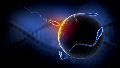 Wall Mural - Sperm and egg cell microscopic view. 3d illustration.

