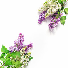 Wall Mural - Flower composition. Branches of lilac are on a white background. Top view. Flat lay. Copy space.