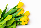 Fototapeta Tulipany - From above top view shoot of fresh yellow tulips lying in bunch on bright white background