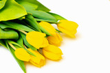 Fototapeta Tulipany - From above top view shoot of fresh yellow tulips lying in bunch on bright white background